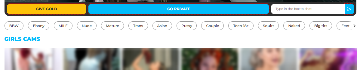 SlutRoulette chat options